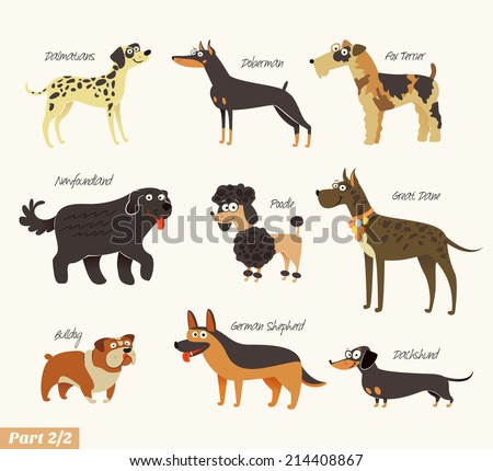 Great Dane Service Dog Blog Great Dane Service Dog Blog