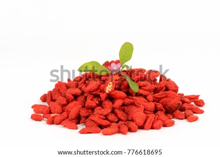goji berries properties