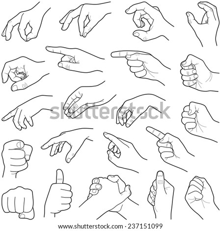 Hand Collection Vector Line Illustration Vectores En Stock 225506800