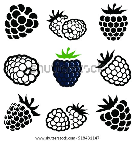 Download Blackberry Fruit Icon Collection Vector Outline Stock ...