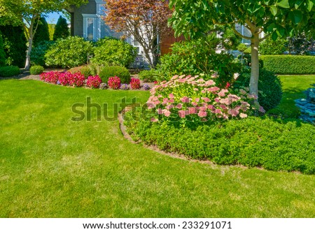 Front Yard: Nice Bushes For Front Yard