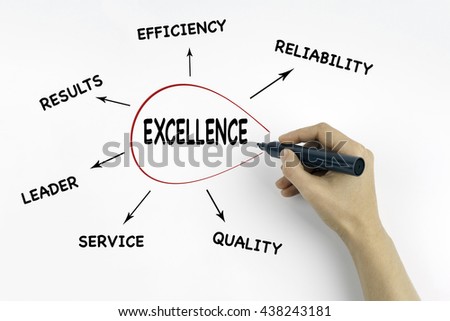 Essay customer service excellence