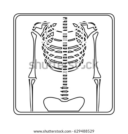 Leg Xray Stock Images, Royalty-free Images & Vectors 