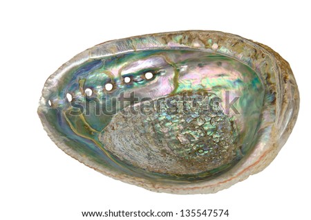 Mother Pearl Inside Abalone Shell Stock Photo 135547574 - Shutterstock