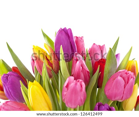 Bouquet Tulips Mother Birthday Gift Valentine Stock Photo 277765922 ...