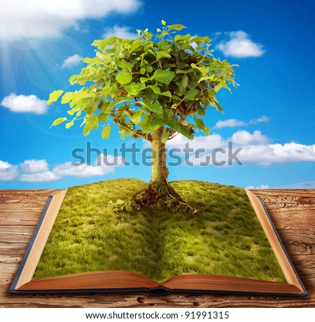 Tree of knowledge growing out of book - stock photo