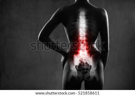 Human spine in x-ray, on gray background. The lumbar spine is highlighted by red colour.