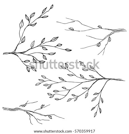 Hand Drawn Tree Branches Vector Set Stock Vector 570359917 - Shutterstock