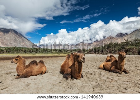 Natural beauty of kashmir essay