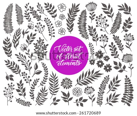 Vector floral set. Graphic collection with leaves and flowers, drawing elements. Spring or summer design for invitation, wedding or greeting cards