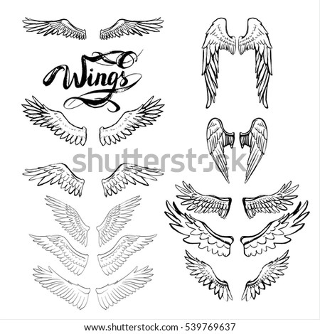 Angel Wings Vector Lettering Drawing Stock Vector 539769637 - Shutterstock