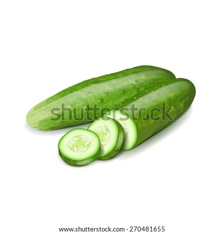 Cucumber and slice isolated on white photo-realistic vector illustration