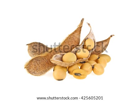 Soybean pods isolated on white background. Soya - protein plant for health food.