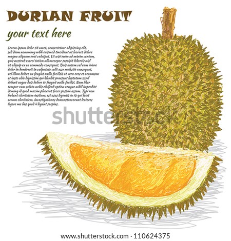 closeup illustration of ripe whole and half durian fruit.