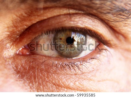 Male Eyes Stock Photos, Images, & Pictures | Shutterstock