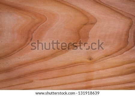 footprints sand along suoi stock photo 546483796 stock images royalty free images vectors footprints sand along suoi stock photo 546483796 stock images royalty free images vectors