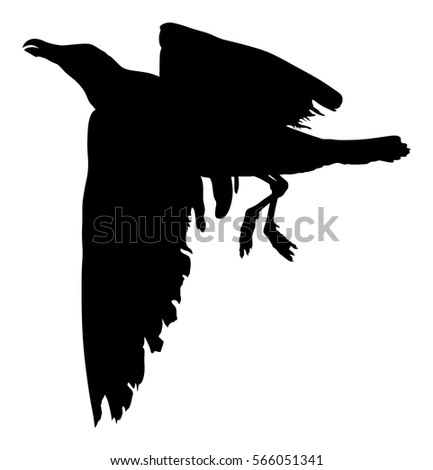Silhouette Flying Owl Stock Vector 40668148 - Shutterstock