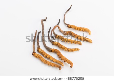 Ingredient used in Traditional Chinese Medicine - Himalayan gold Nepal isolated on white background