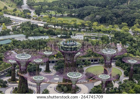 Garden By The Bay August 2014 super trees grove gardensbay stock photo 307329095 - shutterstock Garden By The Bay August 2014 super trees grove gardensbay stock photo 307329095 - shutterstock