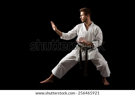 Karate Stock Images, Royalty-Free Images & Vectors | Shutterstock
