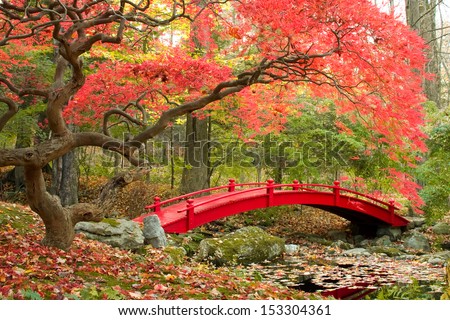 Japanese Garden Cherry Blossom Bridge japanese garden stock images, royalty-free images & vectors Japanese Garden Cherry Blossom Bridge japanese garden stock images, royalty-free images & vectors
