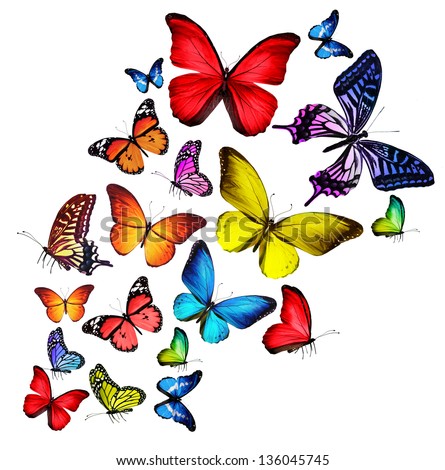 Colourful butterfly Stock Photos, Images, & Pictures | Shutterstock