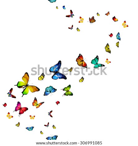 Butterflies Flying Stock Photos, Images, & Pictures | Shutterstock