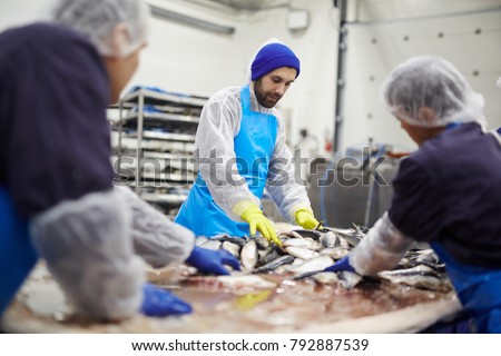 Group of seafood processing staff working with fresh sardines in plant