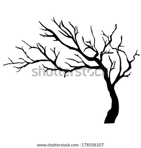 Tree Isolated Stock Vector 178506107 - Shutterstock