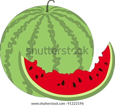White part watermelon viagra