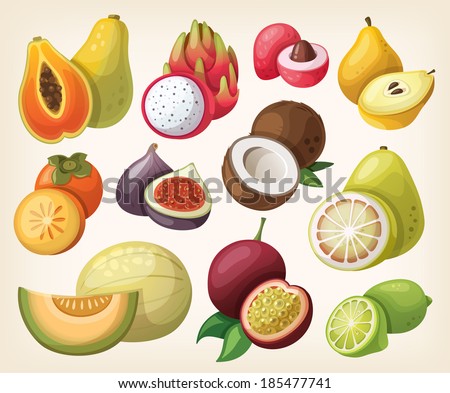 Set of exotic fruit. Vector