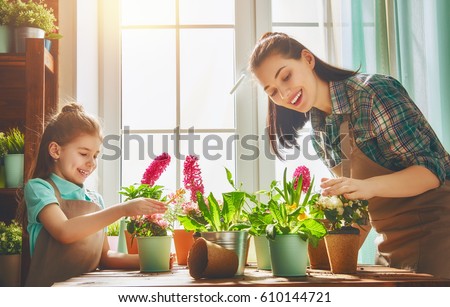 Download Cute Child Girl Helps Her Mother Stock Photo (Royalty Free ...
