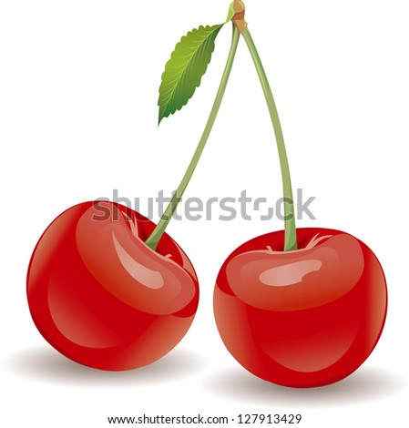 Vector Ripe red cherry berries with green leaves isolated on white background