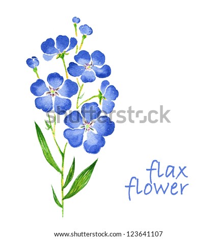 Flax Flower Stock Illustration 123641107 - Shutterstock