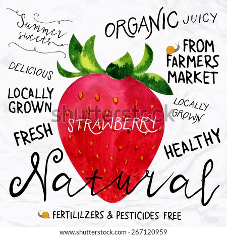 Vector illustration of watercolor strawberry, hand drawn in 1950s or 1960s style. Concept for farmers market, organic food, natural product design, soap package, herbal tea, etc.