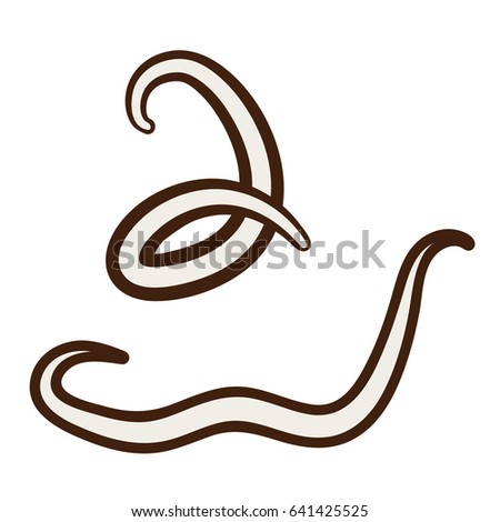 Parasite Stock Images, Royalty-Free Images & Vectors | Shutterstock