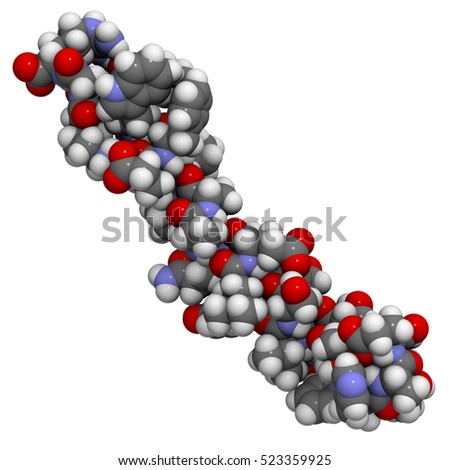 Glucagon Stock Images, Royalty-Free Images & Vectors | Shutterstock