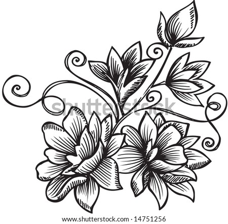 Beautiful Colored Contour Flower Floral Design Stock Illustration ...