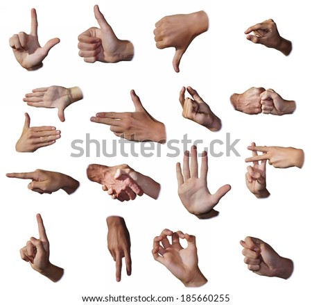 Series Gestures Hands All Stock Photo 3262078 - Shutterstock