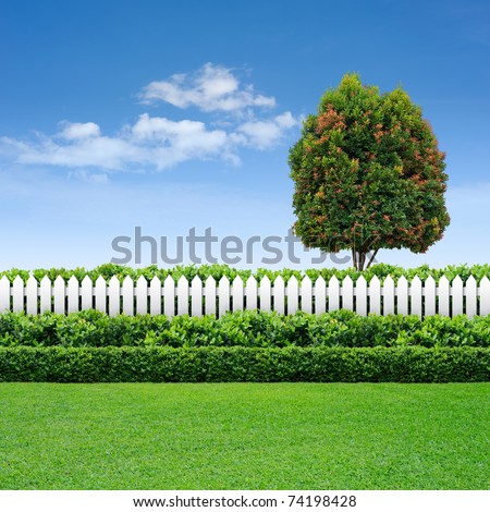White Fence White Fence