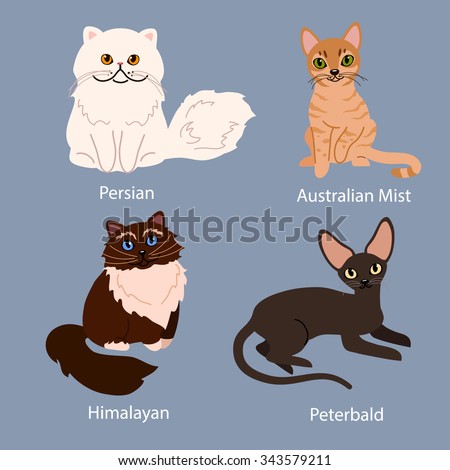 stock-vector-set-of-cartoon-cats-with-different-colored-fur-standing-sitting-or-walking-vector-illustrations-343579211.jpg