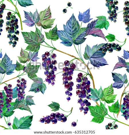 Wisteria Painting Watercolor Stock Vector 201024842 - Shutterstock