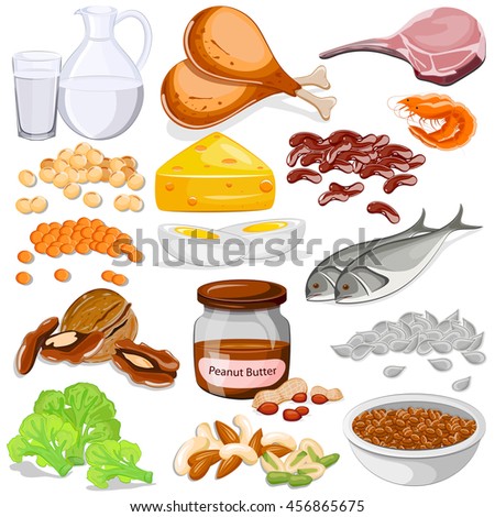 SEARCH AND BUY THIS PRODUCT Protein Foods Stock Images, Royalty-Free Images & Vectors