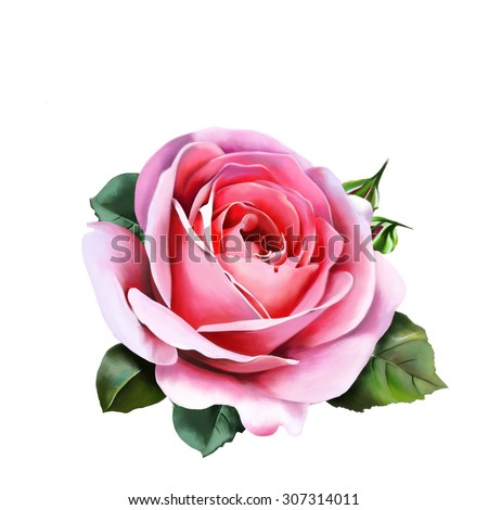Pink Rose Illustration Illustrations Creation Gradient Stock Vector ...
