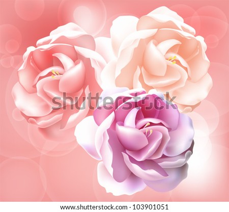 Flower vector background - pink peony