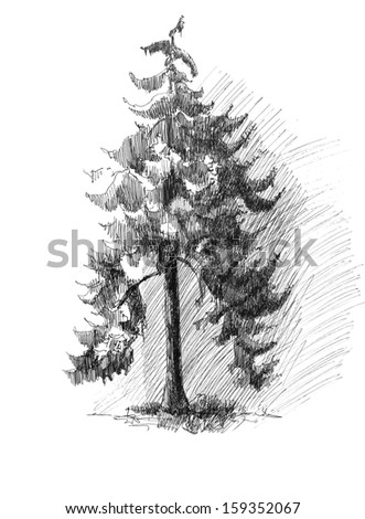  Pine Tree Sketch Drawing Isolated Stock Illustration 159352067 