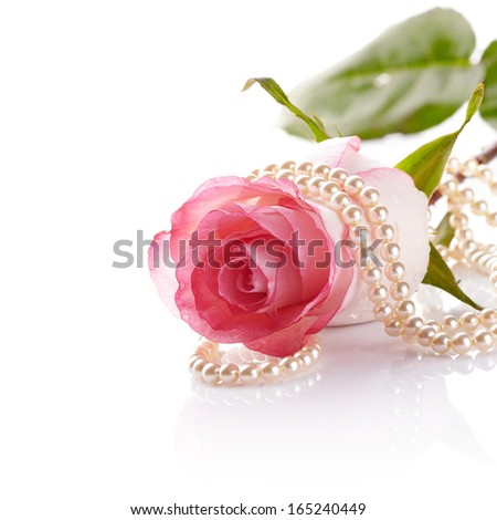 Pink rose. Rose on a white background. Pink flower. Pink rose and pearl beads.
