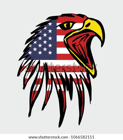 American Flag Eagle Graphic Design Vector Stock Vector 1066582151