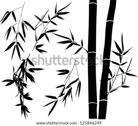 illustration with bamboo branches collection on white background