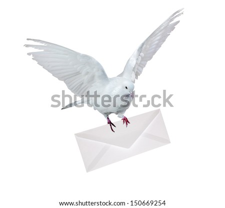 Dove Carrying Envelope Isolated On White Stock Photo 150669254 ...